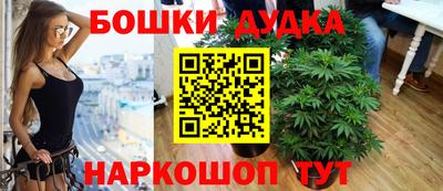 амф Заволжье