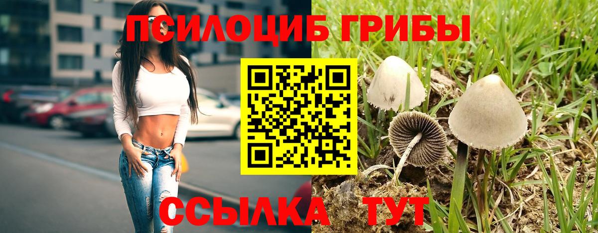 магазин продажи наркотиков  Псилоцибиновые грибы мухоморы  Вход с VPN  Магнитогорск 